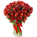 Красные альстромерии