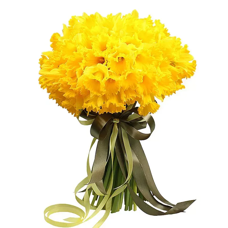 Нарциссы желтые